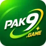 PAK9 Mobile Game APK – Download & Complete Guide